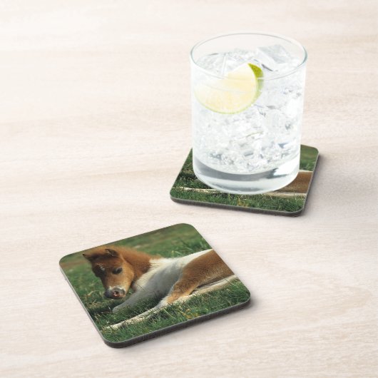 Miniaturfohlen-Niederlegung Getränkeuntersetzer (Rechte Seite)