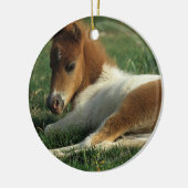 Miniaturfohlen-Niederlegung Keramikornament (Links)