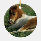 Miniaturfohlen-Niederlegung Keramikornament (Hinten)