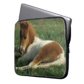 Miniaturfohlen-Niederlegung Laptopschutzhülle (Vorderseite Links)
