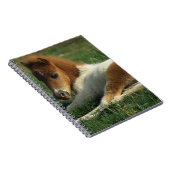 Miniaturfohlen-Niederlegung Notizblock (Rechte Seite)