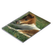 Miniaturfohlen-Niederlegung Notizblock (Linke Seite)