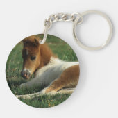 Miniaturfohlen-Niederlegung Schlüsselanhänger (Rückseite)