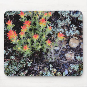 Miniaturgarten am Gem Lake Mousepad
