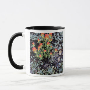 Miniaturgarten am Gem Lake Tasse