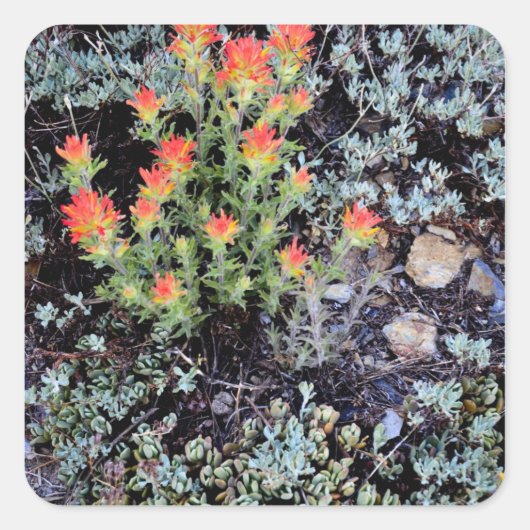 Miniaturgarten am Gem See Quadratischer Aufkleber (Vorderseite)