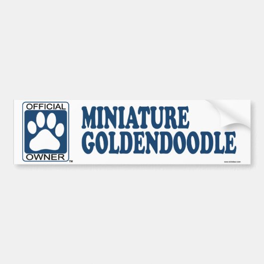 MiniaturGoldendoodle Blau Autoaufkleber (Vorne)