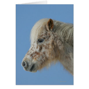 Miniaturhorn-Headshot