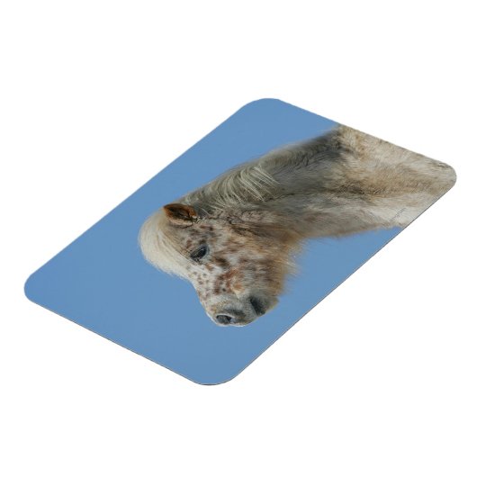 Miniaturhorn-Headshot Magnet (Linke Seite)