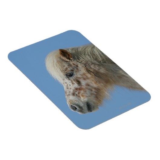 Miniaturhorn-Headshot Magnet (Rechte Seite)