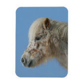 Miniaturhorn-Headshot Magnet (Vertikal)