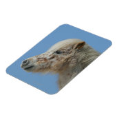 Miniaturhorn-Headshot Magnet (Linke Seite)