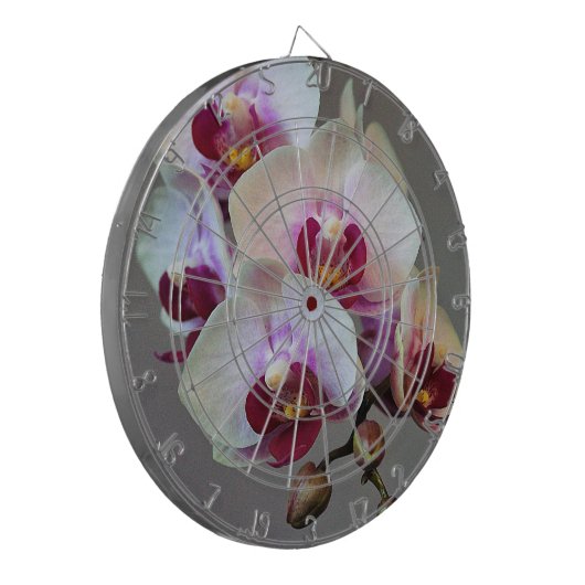 Miniaturorchidee Dartscheibe (Vorderseite Links)