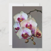 Miniaturorchidee Einladung (Vorderseite)