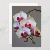 Miniaturorchidee Einladung (Vorne/Hinten)