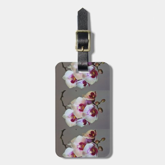 Miniaturorchidee Gepäckanhänger (Vorderseite vertikal)