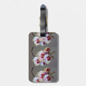 Miniaturorchidee Gepäckanhänger (Rückseite vertikal)