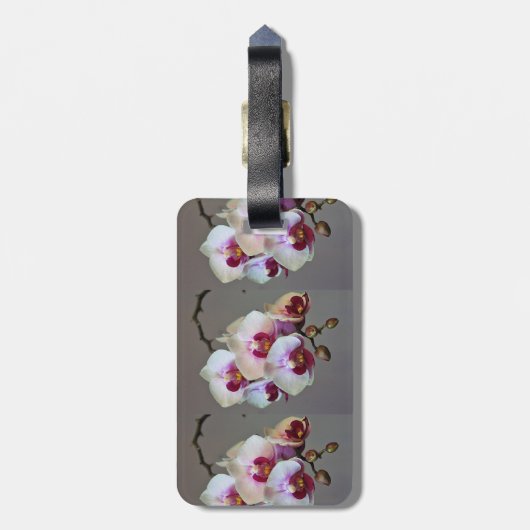 Miniaturorchidee Gepäckanhänger (Rückseite vertikal)