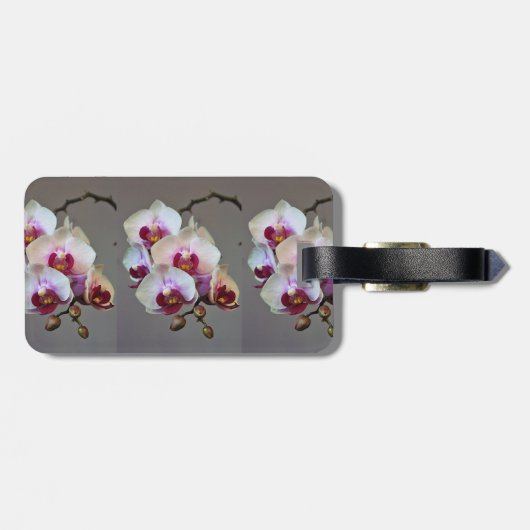 Miniaturorchidee Gepäckanhänger (Rückseite horizontal)