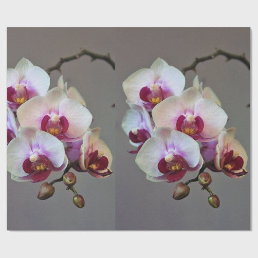 Miniaturorchidee Geschenkpapier (Flach)