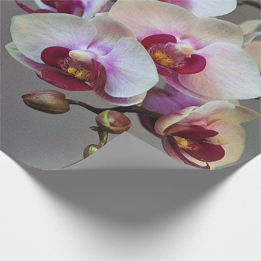 Miniaturorchidee Geschenkpapier (Ecke)