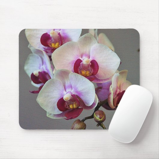 Miniaturorchidee Mousepad (Mit Mouse)