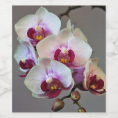 Miniaturorchidee Weinetikett (Einzelnes Label)