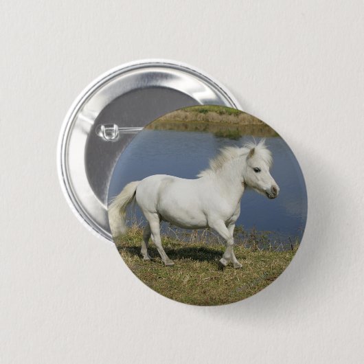 Miniaturpferd, das nahe Wasser läuft Button (Vorne & Hinten)