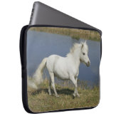 Miniaturpferd, das nahe Wasser läuft Laptopschutzhülle (Vorne Rechts)