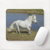 Miniaturpferd, das nahe Wasser läuft Mousepad (Mit Mouse)