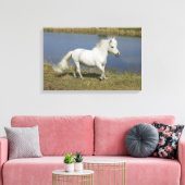 Miniaturpferd in der Nähe des Wassers Leinwanddruck (Insitu (Wohnzimmer))