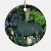 Miniaturpferd stehend in den Bäumen Keramikornament (Hinten)