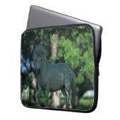 Miniaturpferd stehend in den Bäumen Laptopschutzhülle (Vorderseite Links)