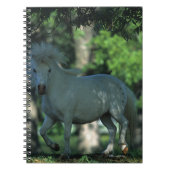 Miniaturpferd stehend in den Bäumen Notizblock (Vorderseite)