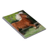 Miniaturpferd stehend notizblock (Rechte Seite)