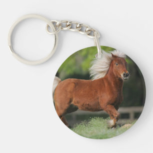 Miniaturpferd stehend schlüsselanhänger
