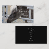 Miniaturpferd Visitenkarte (Vorne/Hinten)