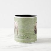 Miniaturpferd Zweifarbige Tasse (Mittel)