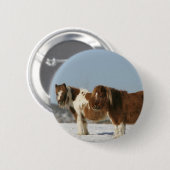 Miniaturpferde stehend im Schnee Button (Vorne & Hinten)