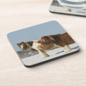 Miniaturpferde stehend im Schnee Getränkeuntersetzer (Linke Seite)