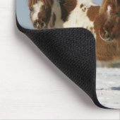 Miniaturpferde stehend im Schnee Mousepad (Ecke)