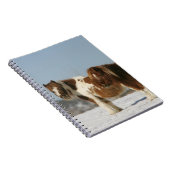 Miniaturpferde stehend im Schnee Notizblock (Rechte Seite)