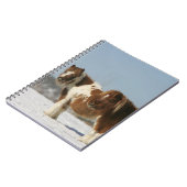 Miniaturpferde stehend im Schnee Notizblock (Linke Seite)
