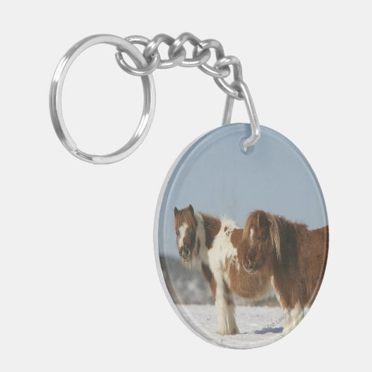 Miniaturpferde stehend im Schnee Schlüsselanhänger (Vorderseite links)