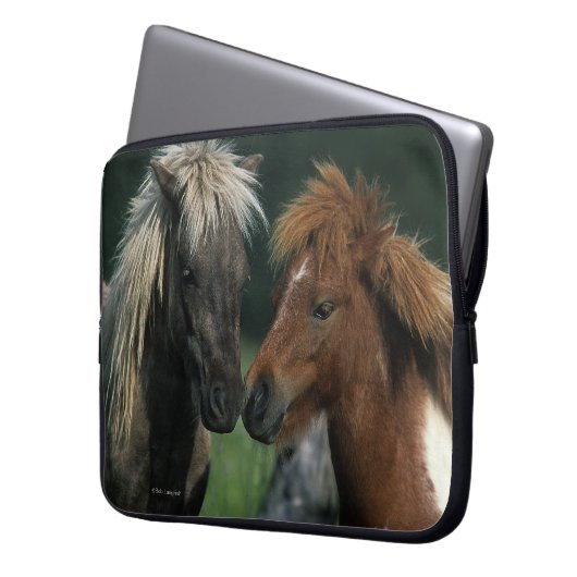 Miniaturpferdeberühren Laptopschutzhülle (Vorderseite Links)