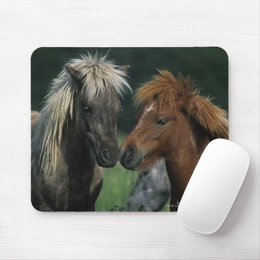 Miniaturpferdeberühren Mousepad (Mit Mouse)