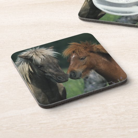 Miniaturpferdeberühren Untersetzer (Linke Seite)