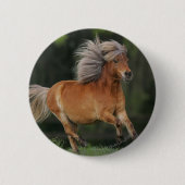 Miniaturpferdebetrieb Button (Vorderseite)
