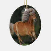 Miniaturpferdebetrieb Keramikornament (Rechts)