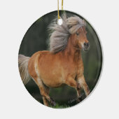 Miniaturpferdebetrieb Keramikornament (Links)